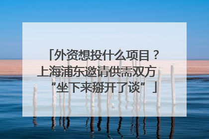 外资想投什么项目？上海浦东邀请供需双方“坐下来掰开了谈”