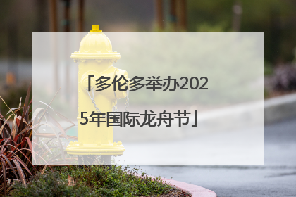 多伦多举办2025年国际龙舟节