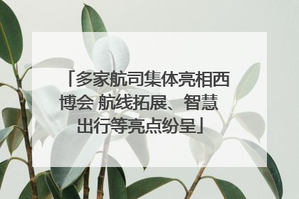 多家航司集体亮相西博会 航线拓展、智慧出行等亮点纷呈