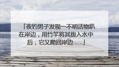 夜钓男子发现一不明活物趴在岸边，用竹竿将其拨入水中后，它又爬回岸边……