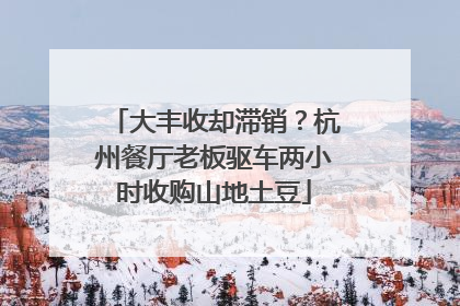 大丰收却滞销？杭州餐厅老板驱车两小时收购山地土豆