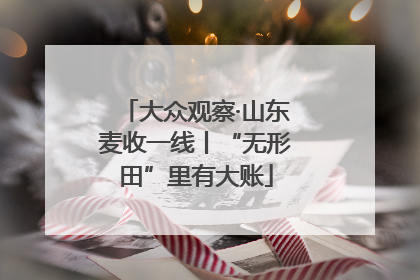 大众观察·山东麦收一线丨“无形田”里有大账