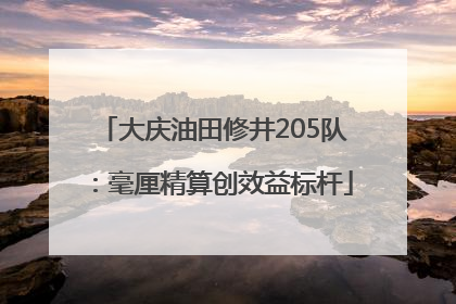 大庆油田修井205队：毫厘精算创效益标杆