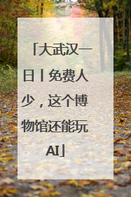 大武汉一日丨免费人少，这个博物馆还能玩AI