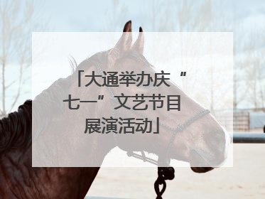 大通举办庆“七一”文艺节目展演活动
