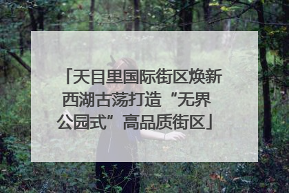天目里国际街区焕新 西湖古荡打造“无界公园式”高品质街区