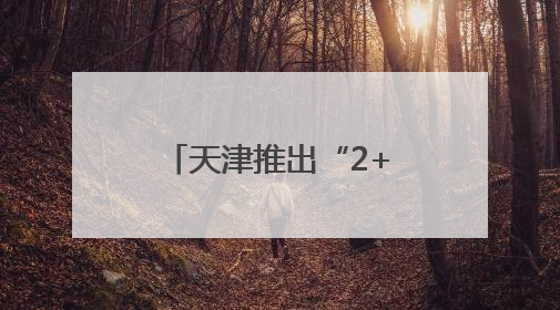 天津推出“2+8+22+N”四级消费商圈