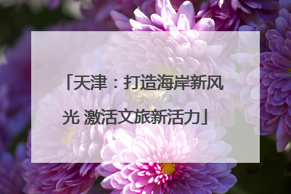 天津：打造海岸新风光 激活文旅新活力
