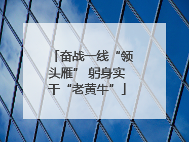 奋战一线“领头雁” 躬身实干“老黄牛”