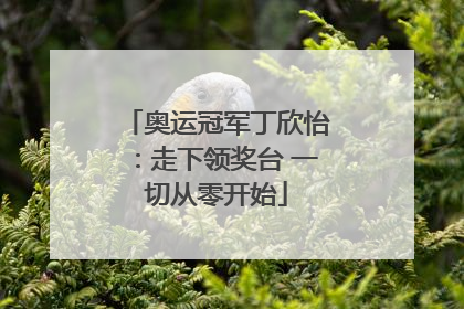 奥运冠军丁欣怡：走下领奖台 一切从零开始