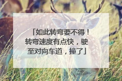 如此转弯要不得！转弯速度有点快，驶至对向车道，撞了