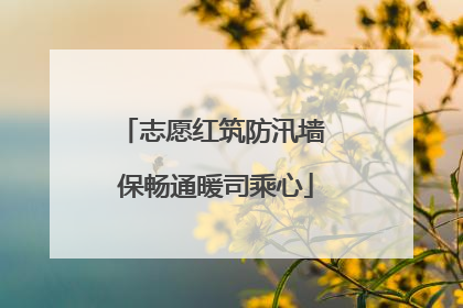 志愿红筑防汛墙 保畅通暖司乘心