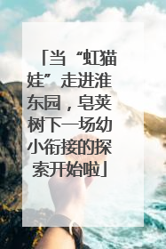 当“虹猫娃”走进淮东园，皂荚树下一场幼小衔接的探索开始啦