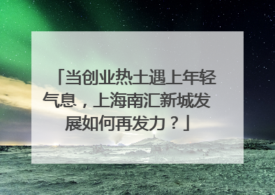 当创业热土遇上年轻气息，上海南汇新城发展如何再发力？