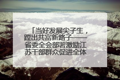 当好发展尖子生，蹚出共富新路子——省委全会部署激励江苏干部群众促进全体人民共同富裕