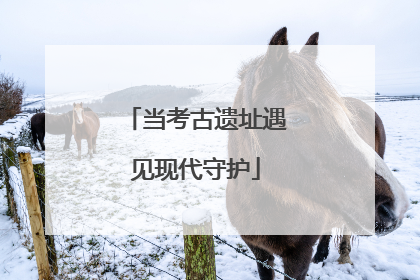 当考古遗址遇见现代守护