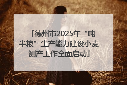 德州市2025年“吨半粮”生产能力建设小麦测产工作全面启动