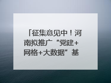 征集意见中！河南拟推广“党建+网格+大数据”基层治理模式