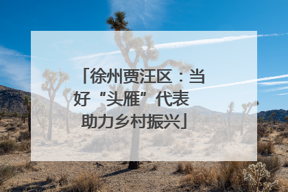 徐州贾汪区：当好“头雁”代表 助力乡村振兴