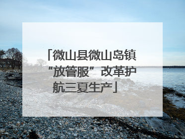 微山县微山岛镇“放管服”改革护航三夏生产