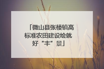 微山县张楼镇高标准农田建设绘就好“丰”景