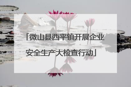 微山县西平镇开展企业安全生产大检查行动