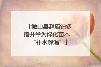 微山县赵庙镇多措并举为绿化苗木“补水解渴”