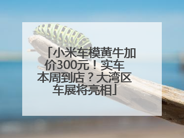 小米车模黄牛加价300元！实车本周到店？大湾区车展将亮相