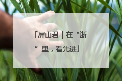 屏山君｜在“浙”里，看先进