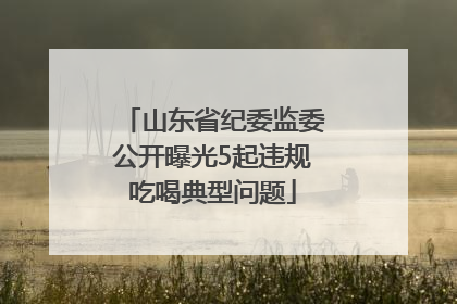 山东省纪委监委公开曝光5起违规吃喝典型问题