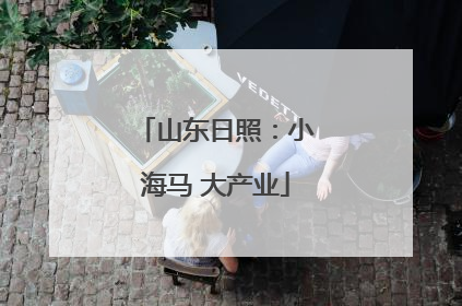 山东日照：小海马 大产业