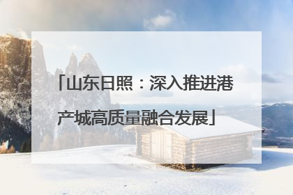 山东日照：深入推进港产城高质量融合发展