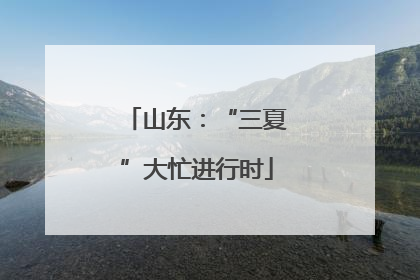 山东：“三夏”大忙进行时