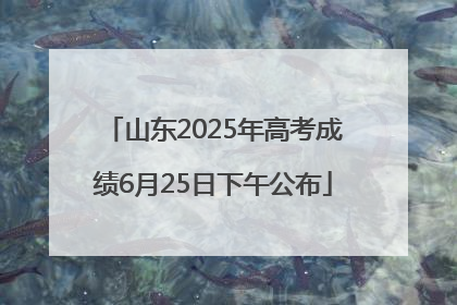 山东2025年高考成绩6月25日下午公布