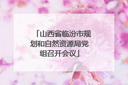 山西省临汾市规划和自然资源局党组召开会议