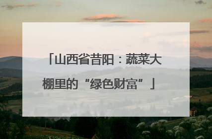 山西省昔阳：蔬菜大棚里的“绿色财富”