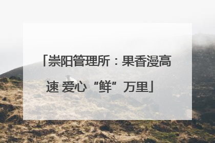 崇阳管理所：果香漫高速 爱心“鲜”万里
