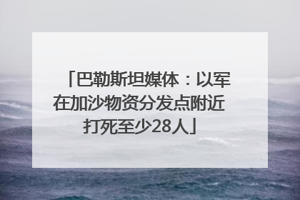 巴勒斯坦媒体：以军在加沙物资分发点附近打死至少28人