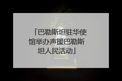 巴勒斯坦驻华使馆举办声援巴勒斯坦人民活动