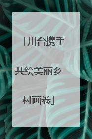 川台携手共绘美丽乡村画卷