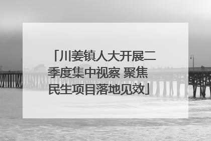 川姜镇人大开展二季度集中视察 聚焦民生项目落地见效