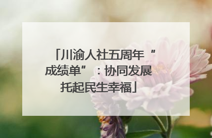 川渝人社五周年“成绩单”：协同发展托起民生幸福