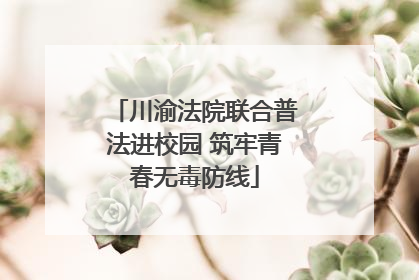 川渝法院联合普法进校园 筑牢青春无毒防线