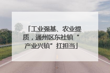 工业强基、农业提质，通州区东社镇“产业兴镇”扛担当