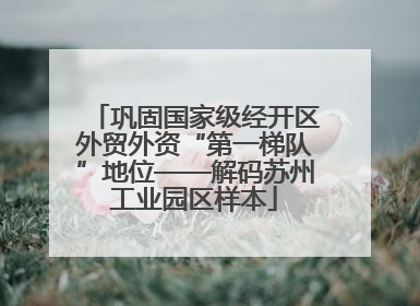 巩固国家级经开区外贸外资“第一梯队”地位——解码苏州工业园区样本