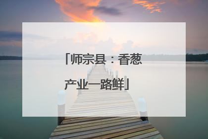 师宗县：香葱产业一路鲜