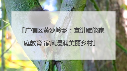 广信区黄沙岭乡：宣讲赋能家庭教育 家风浸润美丽乡村