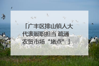 广丰区排山镇人大代表履职担当 疏通农贸市场“堵点”