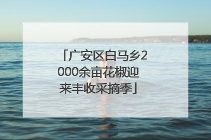 广安区白马乡2000余亩花椒迎来丰收采摘季