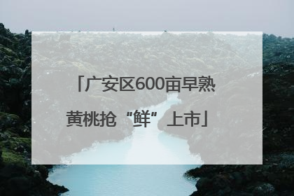 广安区600亩早熟黄桃抢“鲜”上市